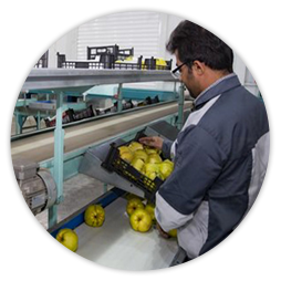 اشـــتغال زایی